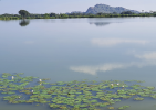 svAdhyAya for svarAjya